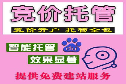 案例剖析：托管竞价SEM助力业绩提升